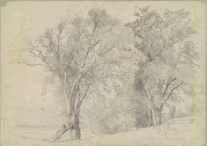 एल्म्स, हडसन