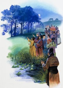  द्वारा एंड्रयू होवाट
