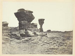  द्वारा एंड्रयू जोसेफ रसेल