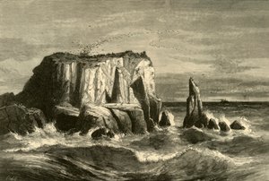 कोस्ट सीन, मारिन काउंटी, 1872। द्वारा एंड्रयू वरिक स्टाउट एंथोनी