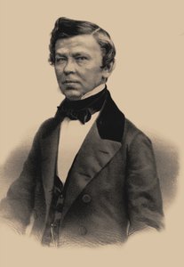 कवि व्लादिमीर ग्रिगोरीविच बेनेडिकटोव का पोर्ट्रेट 1807-1873, 1870