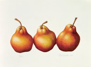 नाशपाती, 2000 (कागज पर wc) द्वारा एनाबेल बैरेट