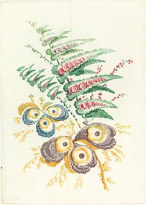 ऑयस्टर-शेल ब्लॉसम के साथ शानदार फूल, सी। 1795.