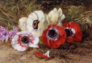  द्वारा एनी फेर मुट्री