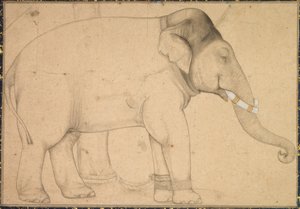  द्वारा अनाम