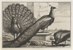  द्वारा Wenceslaus Hollar