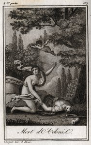 अदोनिस की मृत्यु। चार्ल्स अल्बर्ट डेमोस्टियर (1760-1801) द्वारा "लेट्रेस ए एमिली सुर ला मिथोलॉजी" में 1819 से उत्कीर्ण। निजि संग्रह। द्वारा अनाम अनाम