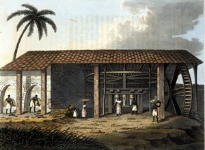 ब्राजील, चीनी कारखाना - "" द ओल्ड एंड मॉडर्न कॉस्ट्यूम "" 1819 - 1820 में डॉ जूल्स फेरारियो, एड मिलान द्वारा। द्वारा अनाम अनाम