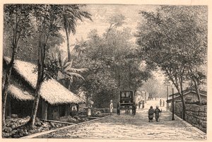 सीलोन (श्रीलंका) में कोलंबो से एक सड़क का दृश्य। लुई-यूजीन (लुई यूजीन) लौवेट द्वारा "लेस मिशन कैथोलिक्स औ XIXeme सिकल" में उत्कीर्णन। निजि संग्रह। द्वारा अनाम अनाम