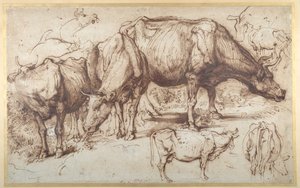 चरागाह में मवेशी, c.1618-20 (कागज पर धोने के साथ कलम और स्याही) द्वारा एंथोनी वैन डाइक