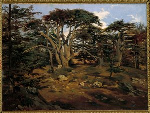 एंटोइन अल्फोंस मोंटफोर्ट (1802-1884) 19वीं सदी के सूर्य द्वारा माउंट लेबनान ए बौमाना पेंटिंग पर पुराने देवदार। 0.32x0.44 मीटर पेरिस, ऑर्से संग्रहालय द्वारा एंटोनी अल्फोंस मोंटफोर्ट
