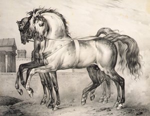 विक्टर एडम (1801-66) द्वारा उकेरी गई वाल्मी की लड़ाई में ऑरलियन्स के ड्यूक लुइस फिलिप द्वारा सवार घोड़े, c.1834-38 (लिथो) द्वारा एंटोनी चार्ल्स होरेस वर्नेट