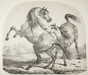 जंगली घोड़े की लड़ाई, c.1820 द्वारा एंटोनी चार्ल्स होरेस वर्नेट