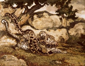 टाइगर को मारने वाला अजगर (कागज पर wc und gouache) द्वारा एंटोनी लुइस बेरी