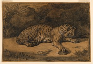 एक बाघ और एक कछुआ द्वारा Antoine Louis Barye