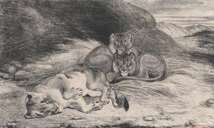 शेरनी और शावक, संभवतः 1832। द्वारा एंटोनी लुइस बेरी