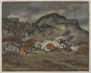 रोलिंग टाइगर, c.1840 (कागज पर wc) द्वारा एंटोनी लुइस बेरी