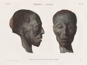 मिस्र का विवरण: थेब्स। Hypogees वॉल्यूम। II, Pl। 49। द्वारा एंटोनी मैक्सिम मोनसाल्डी