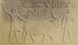 Saqqara . में पवित्र बैल द्वारा एंटोनियो बीटो