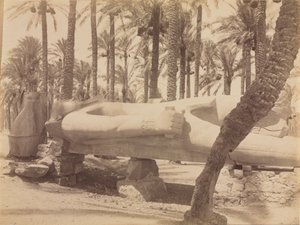 सक्कारा में रामेसेस की मूर्ति, सी। 1870s - 1880s। द्वारा एंटोनियो बीटो