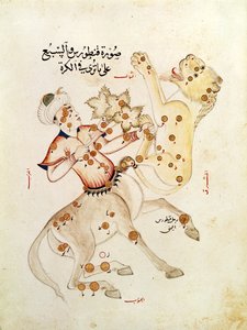 सुश्री 5036 fol.238 अब्द-अल-रहमान अल सूफी (903-986) द्वारा सेंटर्स और लियो के नक्षत्र, निश्चित सितारों पर संधि से।