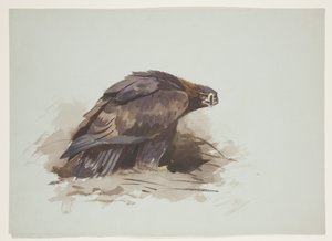 गोल्डन ईगल, c.1915 (कागज पर पेंसिल के ऊपर वॉटरकलर और बॉडीकलर) द्वारा आर्चीबाल्ड थोरबर्न