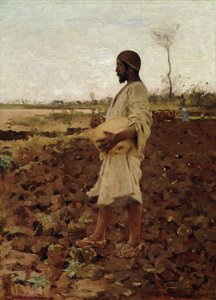 एक मिस्र के सॉवर, 1881