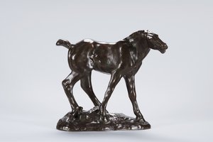 बछेड़ा (कांस्य)