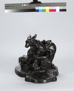 कंगारू और कुत्ता