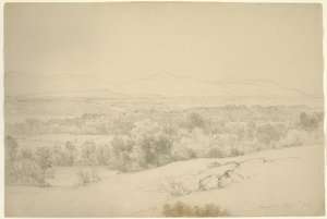 लैंडस्केप, बैरीटाउन, न्यूयॉर्क, 1865 (ब्राउन पेपर पर स्टंपिंग के साथ ग्रेफाइट)