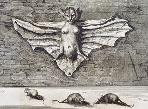 बिल्ली फ्लाइंग, 1667 द्वारा अथानासियस किर्चर