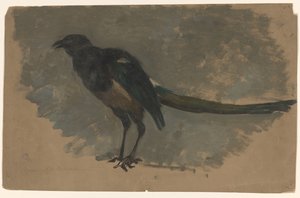  द्वारा अगस्त गली