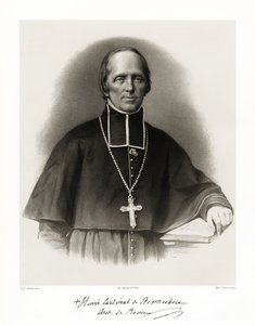 बोन्नेकोज़ की हेनरी, 1865-66