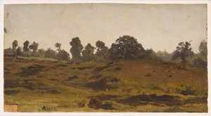 एक फ़ील्ड देखें, 1850 के दशक में (कागज पर तेल)