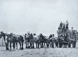 ऊन ले जाने वाली टीम, पश्चिमी ऑस्ट्रेलिया, c.1900, `अंडर द सदर्न क्रॉस - ग्लिम्प्स ऑफ़ ऑस्ट्रेलिया &39;, विदेश विभाग, मेलबर्न, 1908 द्वारा