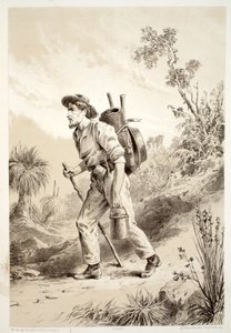 डेविड ब्लेयर, मैकग्रैडी, थॉमसन, और नाइस, 1879 द्वारा द हिस्ट्री ऑफ़ ऑस्ट्रेलेशिया से ट्रम्प पर खुदाई, 1879