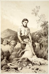 डेविड ब्लेयर, मैकग्रैडी, थॉमसन, और निवेन, 1879 द्वारा द हिस्ट्री ऑफ़ ऑस्ट्रेलेशिया