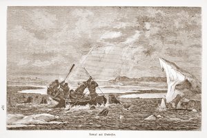 वालरस के साथ लड़ाई, 1876 द्वारा ऑस्ट्रियाई स्कूल