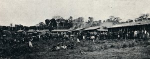 कोलोनिया इटालियन फ़ाज़ेंडा अरिंडुबा, 1895