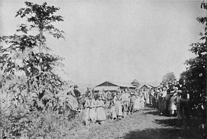 एक कॉलोनी में पार्टी, 1895 में एक पार्टी