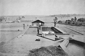 लावादुरो डे कैफे, वॉशिंग कॉफ़ी, 1895