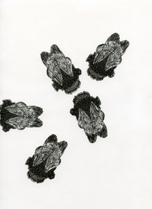 Bumblebees की बैठक, 2013 (कागज पर लकड़ी की नक्काशी) द्वारा बेला लार्सन