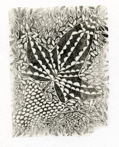 आइवी, 2014, (कागज पर उकेरी जाने वाली लकड़ी) द्वारा बेला लार्सन