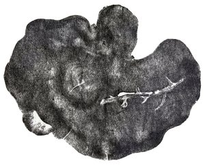 मोर्गोंडैग, 2014 (कागज पर उकेरी गई लकड़ी)