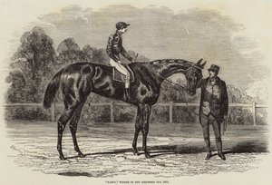 नैन्सी, गुडवुड कप की विजेता, 1851