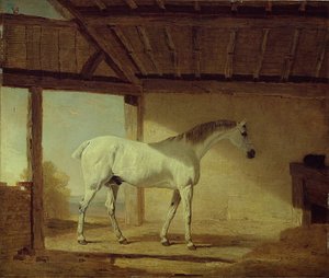 द अर्ल ऑफ कोवेंट्री हॉर्स, 1805। द्वारा बेंजामिन मार्शल