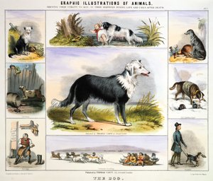 द डॉग, c1850