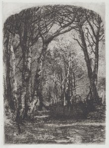 वुड्स [बोस्को], सी.1895।