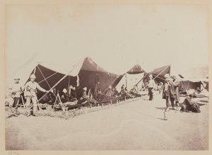  द्वारा बॉर्न और शेफर्ड