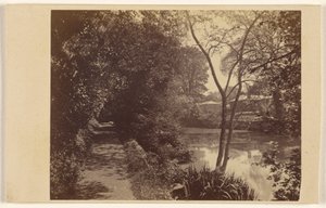  द्वारा ब्राउन और व्हीलर